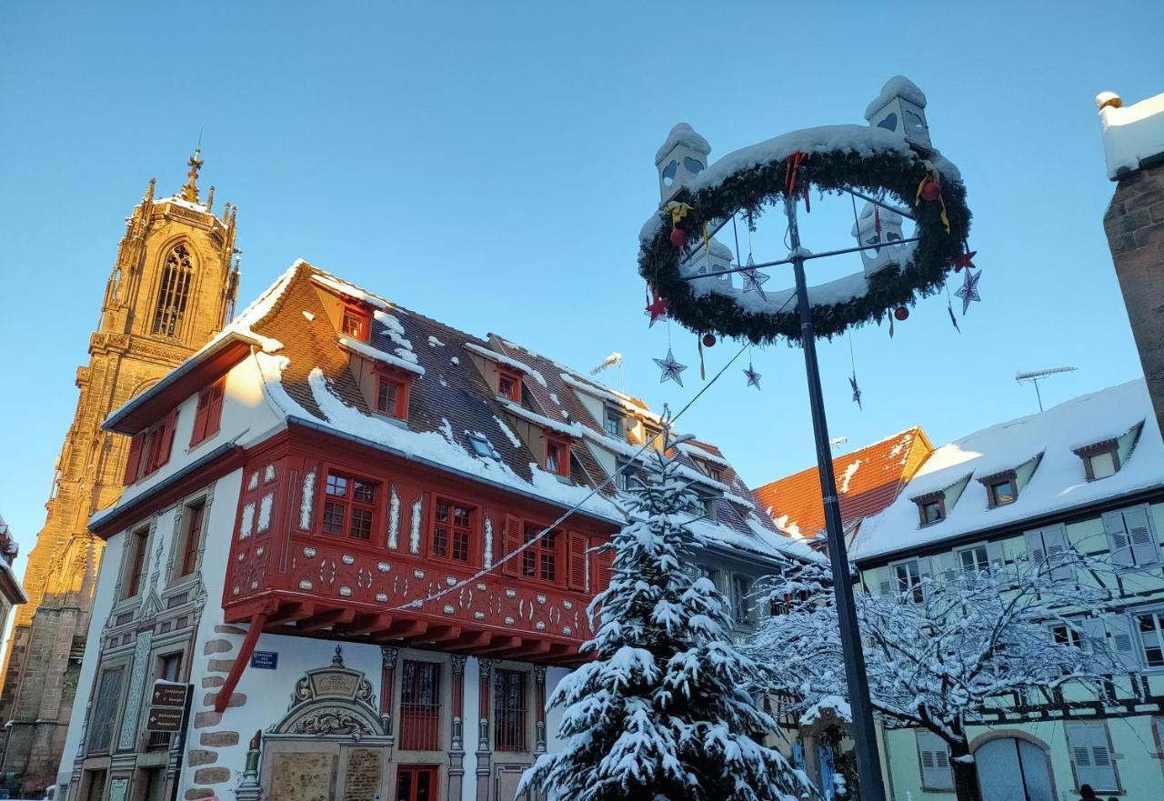 La Maison Bleue, A 20 Mn De Strasbourg, Sur La Route Des Vins, Jusqu'A 6 Personnes, Sélestat Exterior foto