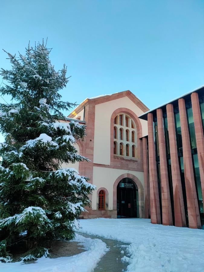 La Maison Bleue, A 20 Mn De Strasbourg, Sur La Route Des Vins, Jusqu'A 6 Personnes, Sélestat Exterior foto
