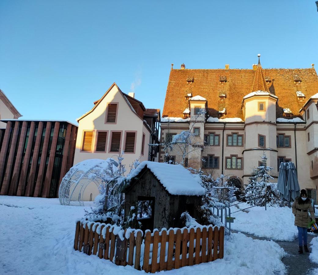 La Maison Bleue, A 20 Mn De Strasbourg, Sur La Route Des Vins, Jusqu'A 6 Personnes, Sélestat Exterior foto