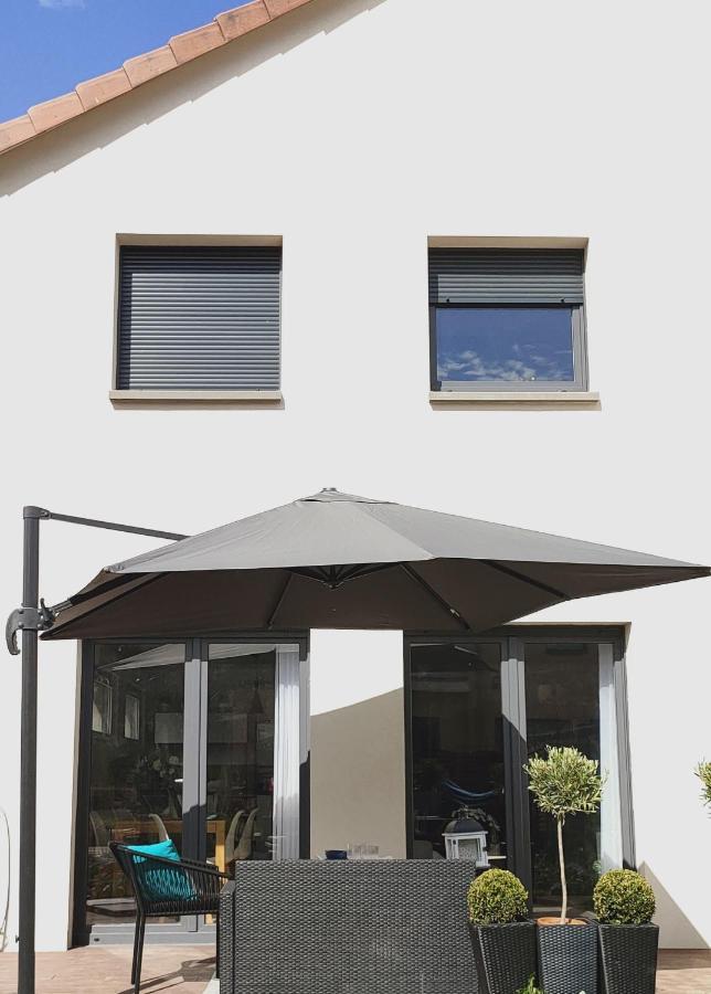 La Maison Bleue, A 20 Mn De Strasbourg, Sur La Route Des Vins, Jusqu'A 6 Personnes, Sélestat Exterior foto